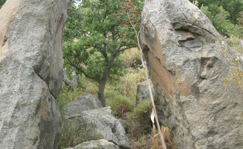 Ερεσός, ακρόπολη. Η λεγόμενη προελληνική πύλη