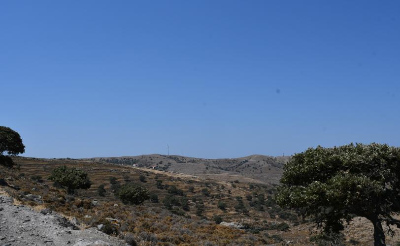Η θέση του Μετοχιού της Μονής Καρακάλλου όπως διακρίνεται από την αγροτική οδό πρόσβασης στα βορειοδυτικά