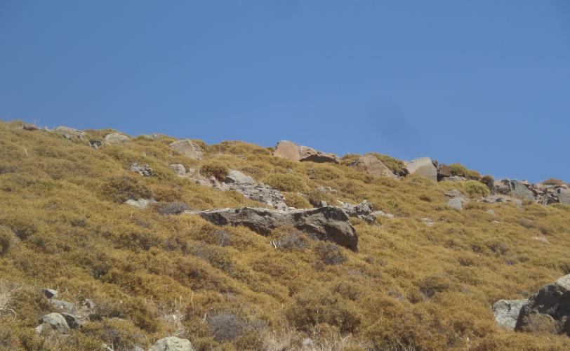 Τοιχοποιίες στη νότια πλευρά
