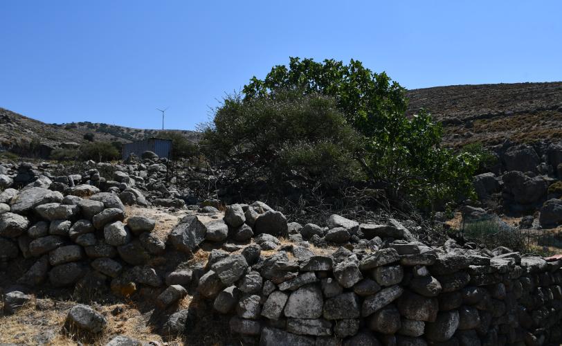 Ερείπια των κτισμάτων του μετοχιού