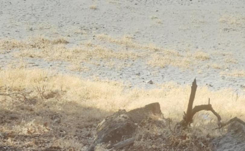 Λαξεύματα στον φυσικό βράχο πλησίον του ναού, πιθανόν εργαστηριακή εγκατάσταση