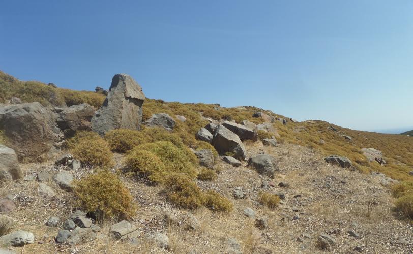 Τμήμα του τείχους