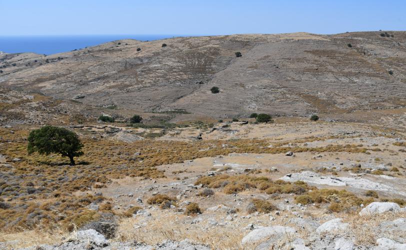 Μετόχι Μονής Διονυσίου