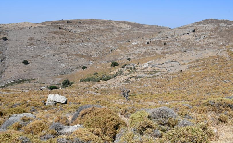 Μετόχι Μονής Διονυσίου