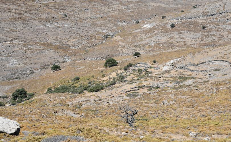 Μετόχι Μονής Διονυσίου
